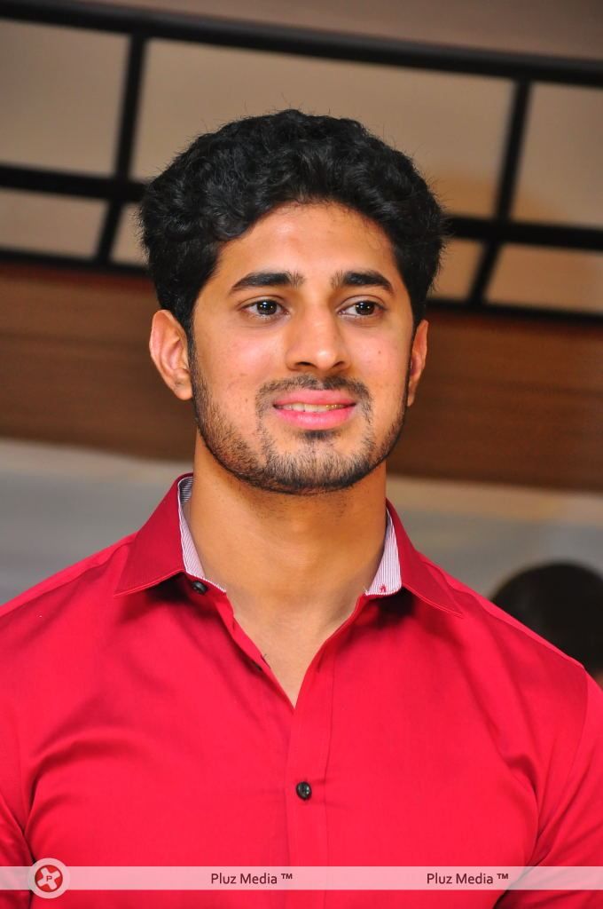 Arvind Krishna - It's My Love Story Press Meet - Pictures | Picture 116802